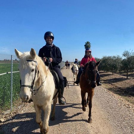 Fuente PalmeraCasa Ecuestre Carmen Martinez住宿加早餐旅馆 外观 照片