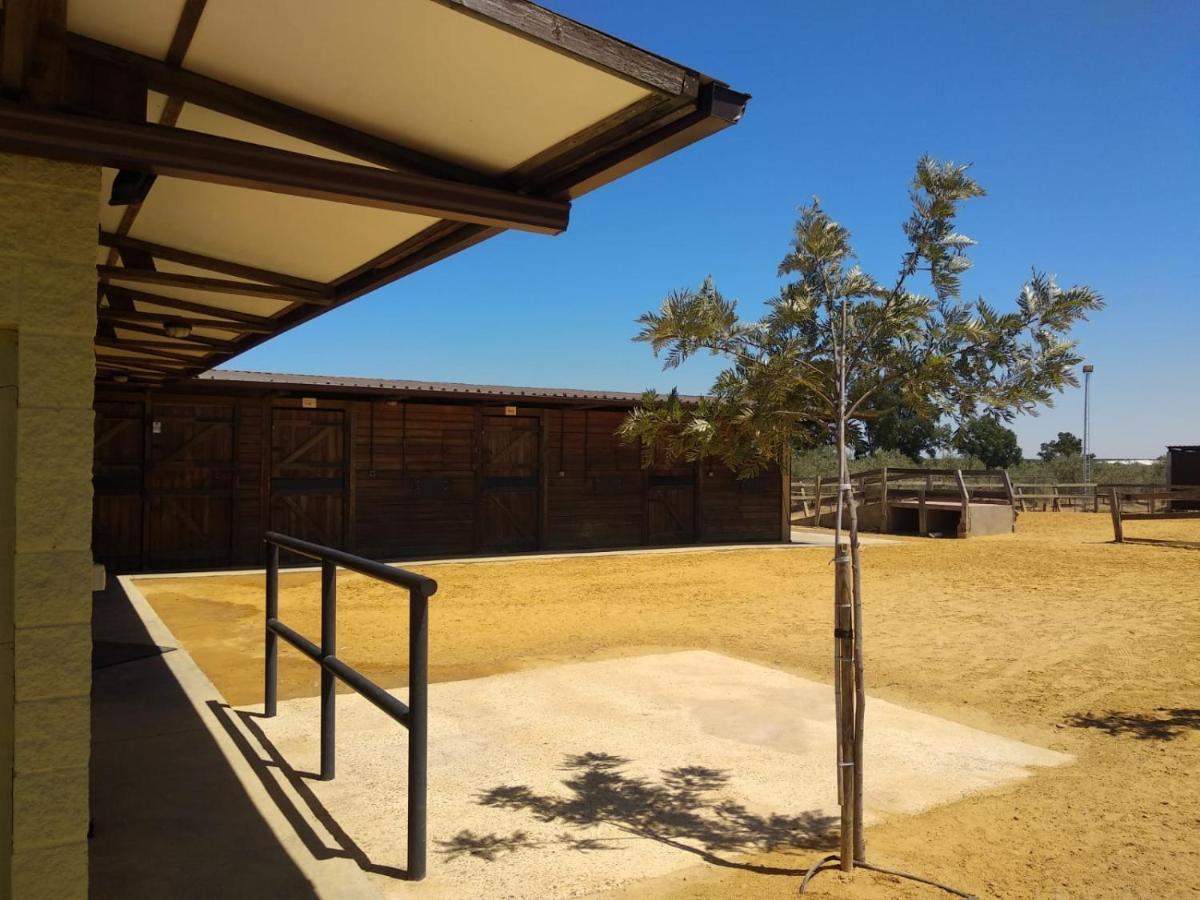 Fuente PalmeraCasa Ecuestre Carmen Martinez住宿加早餐旅馆 外观 照片