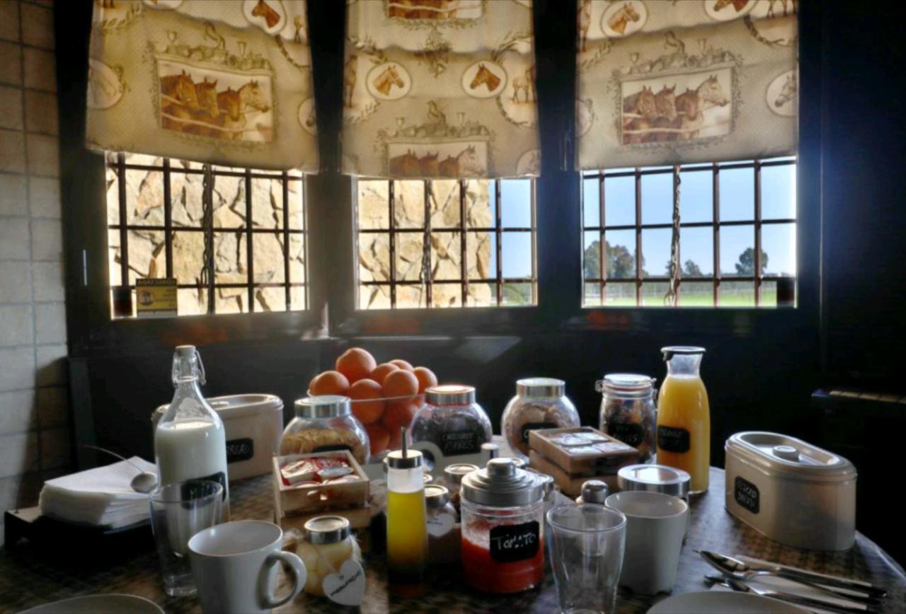 Fuente PalmeraCasa Ecuestre Carmen Martinez住宿加早餐旅馆 外观 照片